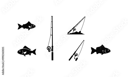 Illustrations of fishing and various fish being caught