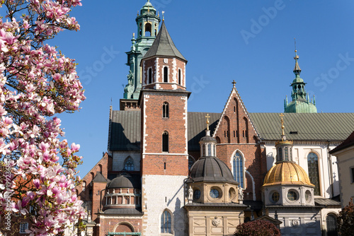 Wawel Cathedral and Wawel Royal Castle complex in spring in Krakow with magnolia tree in the foreground. The most historically and culturally significant site in Poland. Krakow, Poland