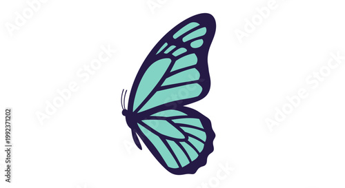 Blue Butterfly Illustration Closeup.