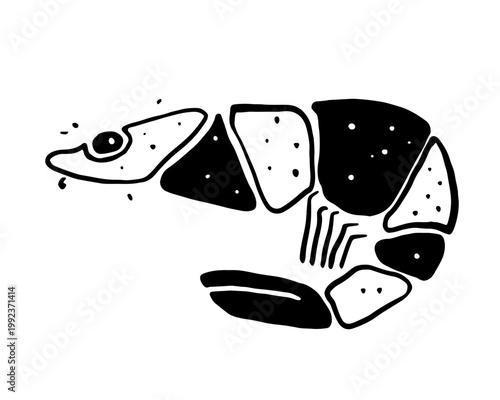 Marine life - black stylish flat vector drawing of shrimp