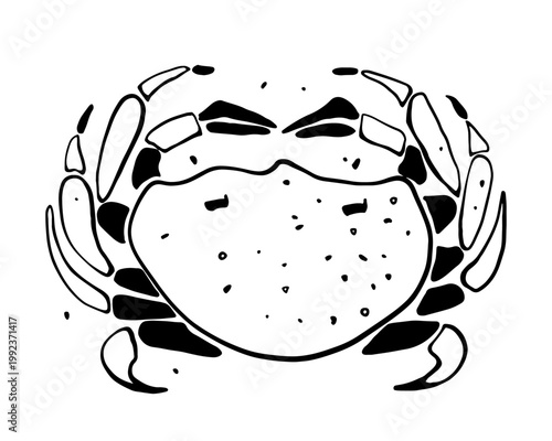 Marine life - black stylish flat vector drawing of crab