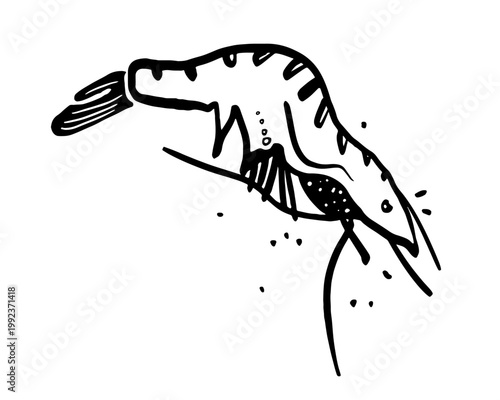Marine life - black stylish flat vector drawing of prawn