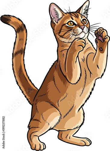 Ceylon Cat standing on hind legs reaching up playful illustration