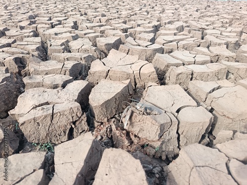 dry cracked earth
