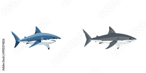 Modern minimalist vector of a great shark, sharp geometric fins, no outline, white background.
