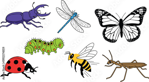 Colorful Insect and Bug Vector Icon Set with Bee, Ladybug, Praying Mantis, Beetle, Caterpillar, Ant, and Spider for Nature, Education, and Wildlife Illustration Design