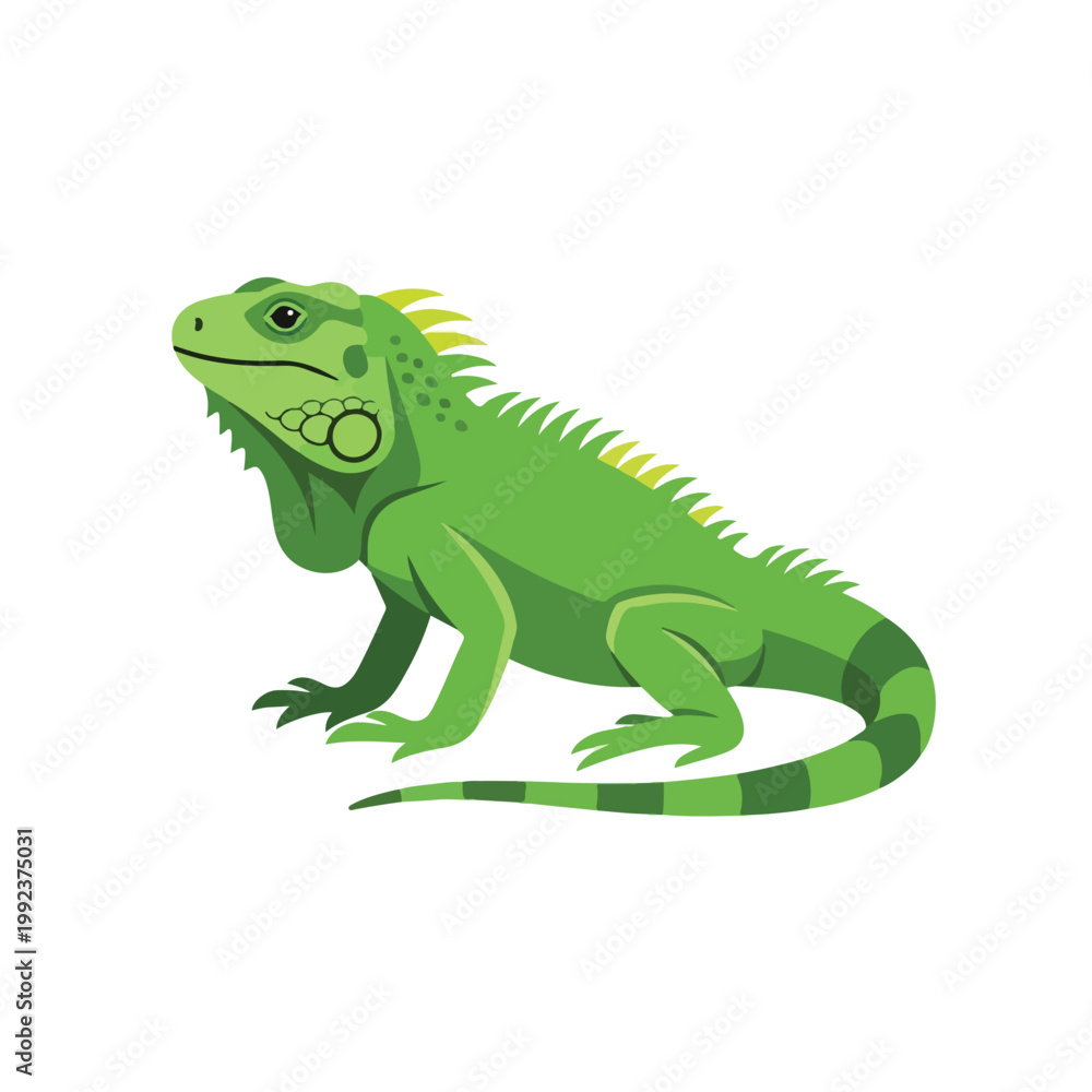 Fototapeta premium Simple flat illustration of an iguana, solid colors, white background