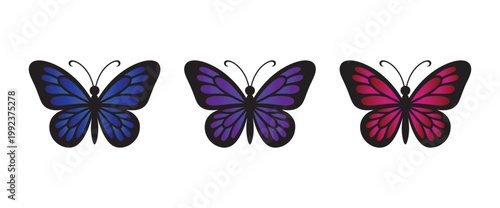 Colorful Butterfly Set Vector Gradient Insect Decorative Nature Illustration