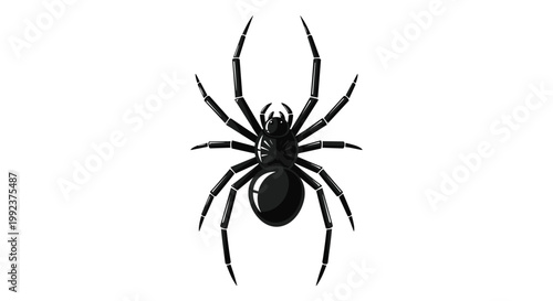 A detailed black spider with long segmented legs and a shiny thorax is depicted from a top-down perspective against a pristine white background.