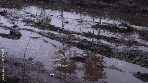 Wet muddy terrain with visible tire tracks and reflections of trees in the water, showcasing the natural landscape's texture and details