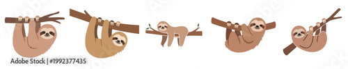 Illustrative set featuring charming cartoon sloths, each gently hanging from tree branches in various relaxed poses, capturing their peaceful and slow-moving nature