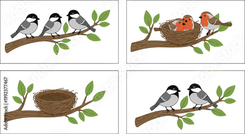 Vector illustration of birds and nests on branches showing different stages in nature design