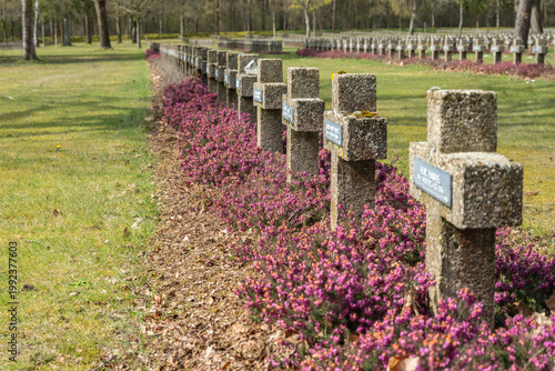 Rows of Grave Markers Lined With Blooming Flowers in a Peaceful Cemetery During Daylight Hours