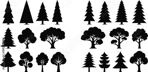 Vector Silhouette Collection of Pine and Deciduous Trees, Evergreen Conifers and Oak Forest Elements for Nature Landscape Design Isolated on White