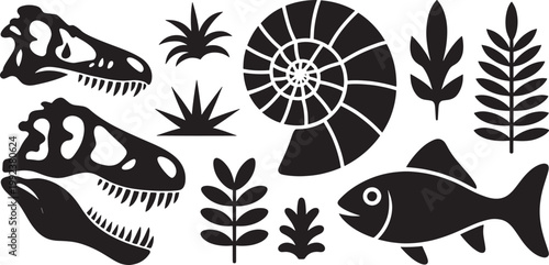 Fossils and prehistoric plants icons set vector illustration graphic dinosaur skulls ancient shell.