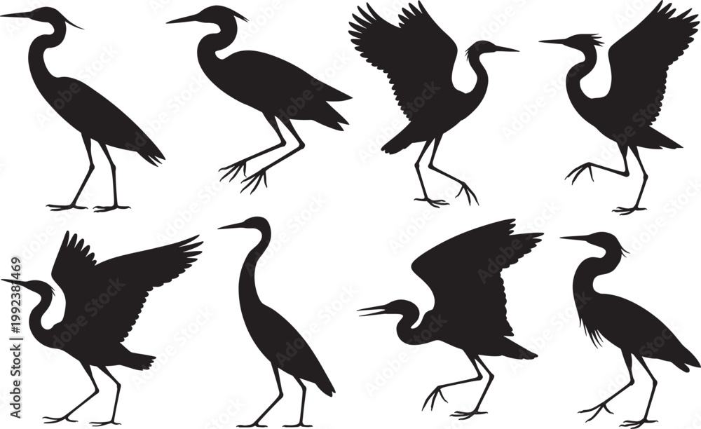Fototapeta premium Eight silhouette herons birds in various poses with open wings and standing on legs.
