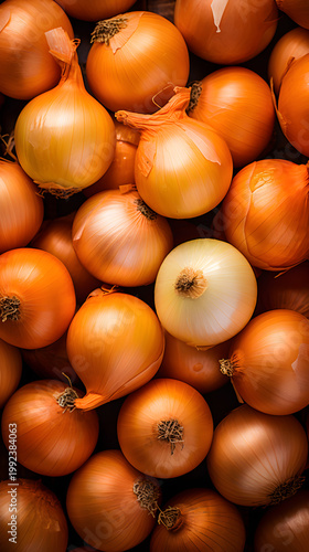 Vertical top view of raw yellow onions pile. One peeled white onion among unpeeled bulbs. Fresh organic vegetable background