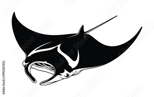 Vector of a manta ray swimming gracefully with its wings fully extended