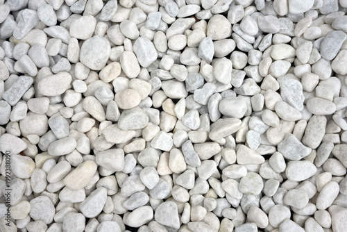 白玉砂利