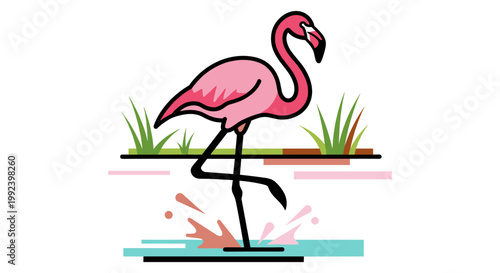 Pink Flamingo Wading in Water