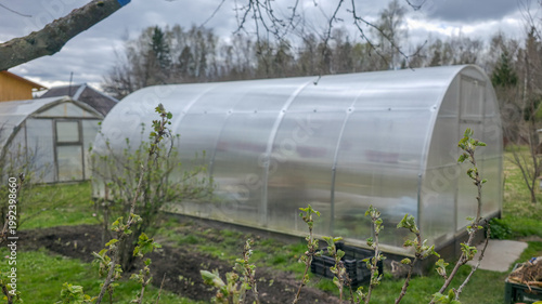 Transparent semicircular polycarbonate greenhouse close-up in the garden on a spring day. Gardening in Europe