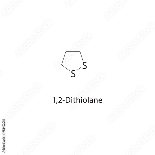 1,2-Dithiolane skeletal structure. thioether compound schematic illustration. Simple diagram, chemical formula.