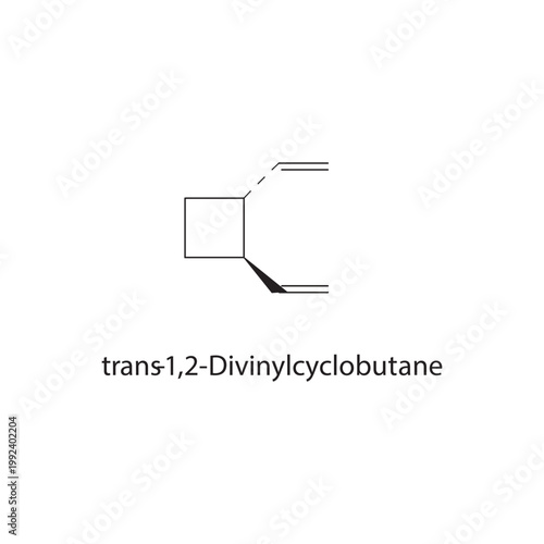 trans-1,2-Divinylcyclobutane skeletal structure. alkene compound schematic illustration. Simple diagram, chemical formula.