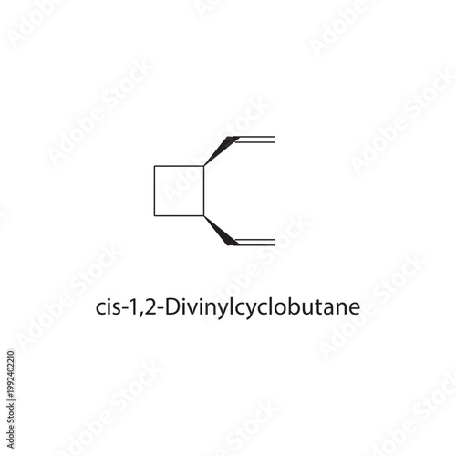 cis-1,2-Divinylcyclobutane skeletal structure. alkene compound schematic illustration. Simple diagram, chemical formula.