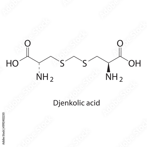 Djenkolic acid skeletal structure. amino acid compound schematic illustration. Simple diagram, chemical formula.