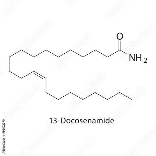 13-Docosenamide skeletal structure. amide compound schematic illustration. Simple diagram, chemical formula.