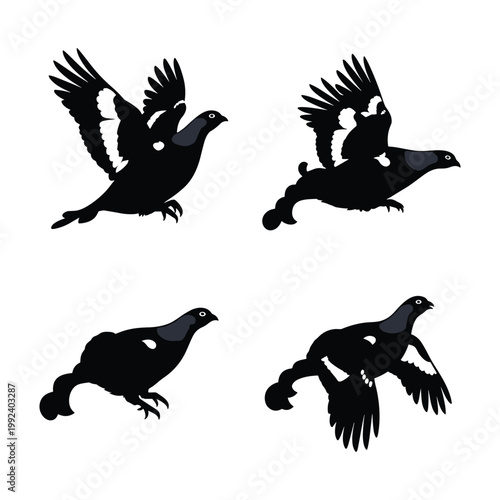 Valokuva Black grouse silhouette icon set, flying game bird vector illustration, minimalist wild grouse silhouettes isolated on white background, hand drawn bird elements for hunting and nature branding