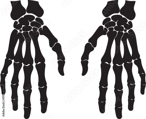 Black silhouette of two human skeleton hands facing forward, isolated on white also transparent background