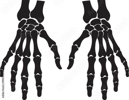 Black silhouette of two skeletal hands with visible phalanges and metacarpals on white background, also transparent background