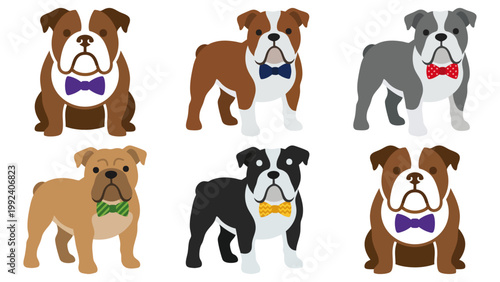  Bow Tie - Fancy bulldog wearing a dapper silk bow tie   Flat Vector Illustration on Transparent Background