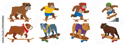  Skateboarder - Athletic bulldog riding a wooden skateboard   Flat Vector Illustration on Transparent Background