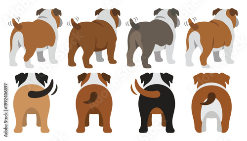 Wiggle Butt - Back view of a bulldog with a wagging tail   Flat Vector Illustration on Transparent Background
