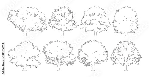 Vector set of deciduous trees in elevation view for use in architectural drawings
