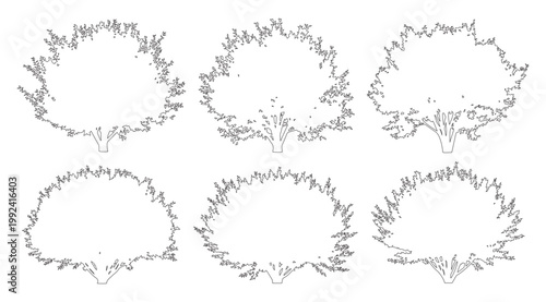 Vector set of shrubs and bushes in elevation view for use in architectural drawings