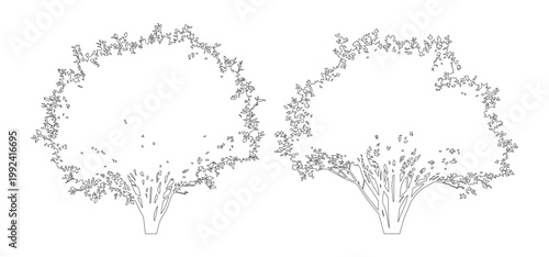 Vector set of shrubs and bushes in elevation view for use in architectural drawings