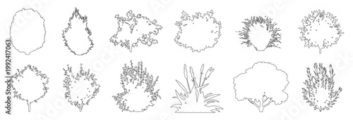 Vector set of ornamental shrubs and bushes in elevation view for use in architectural drawings
