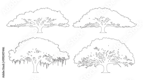 Vector set of broad canopy trees in elevation view for use in architectural drawings