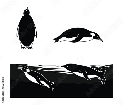 Set of emperor penguin vector illustrations, flightless birds standing and swimming in flat black and white minimalist style isolated on white background