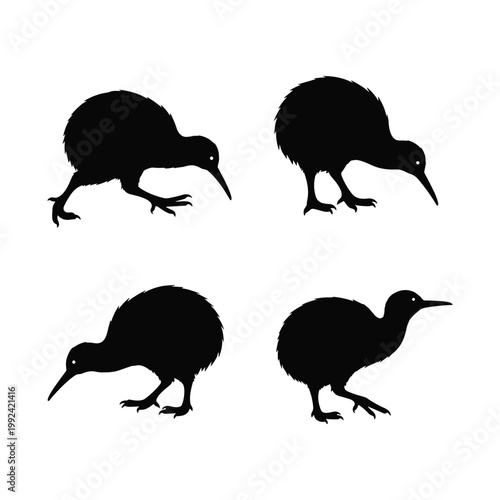 Bild auf Leinwand Set of kiwi bird silhouettes in various poses, flightless New Zealand wildlife w