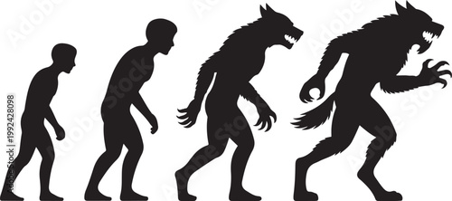 Silhouette evolution from man to werewolf with sharp teeth and claws human desi. black icon drawing vector