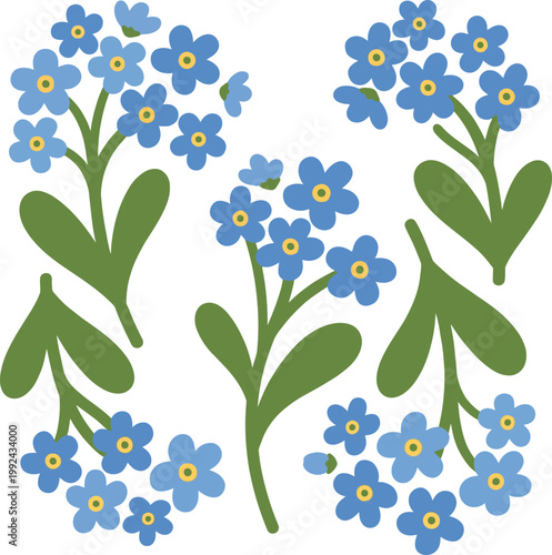 Forget me not flowers in blue with green leaves on white background