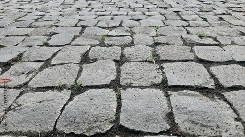 Cobblestone pavement surface with irregular stone patterns showing urban texture outdoor environment and decorative detail suitable for background design and architectural projects