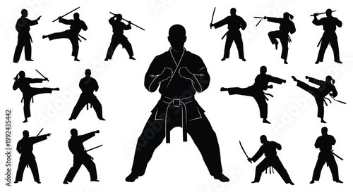 Silhouettes of martial artists practicing various fighting stances and techniques