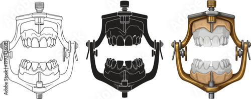 Dental articulator set with teeth models line art silhouette and realistic illustration for dental education and prosthetics