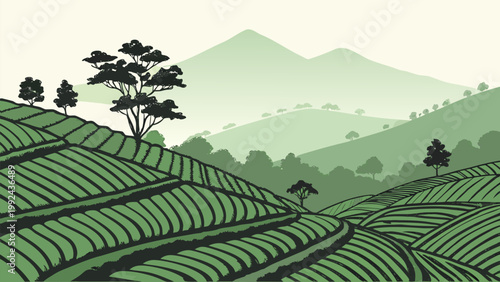 Curved rice terraces across rolling hills with soft gradient sky. Elegant minimalist vector, perfect for farming, Asian agriculture, and eco-friendly visuals.