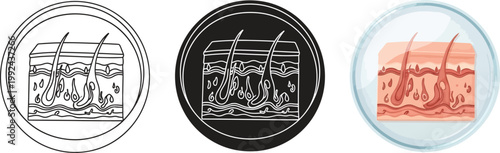 Cross-section of human skin with hair follicles medical illustration for dermatology and cosmetic science set of icons